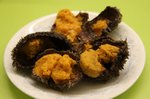 20090228_seaurchin_02_2